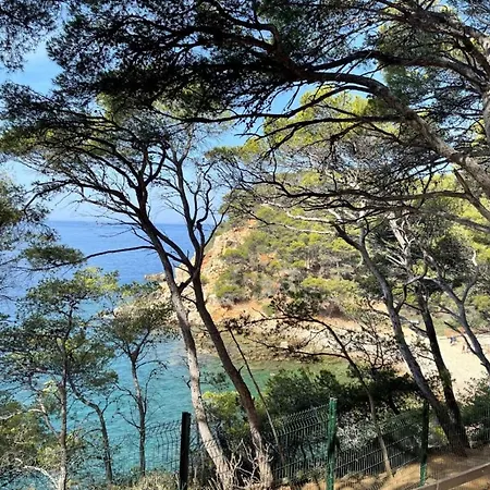 Luminous Cocoon With Athena Port Pool * Bandol